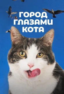 Город глазами кота (2018)