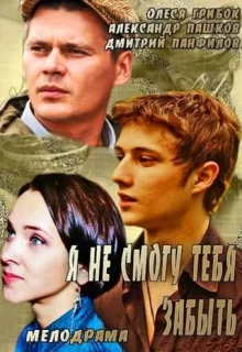 Я не смогу тебя забыть (2013)